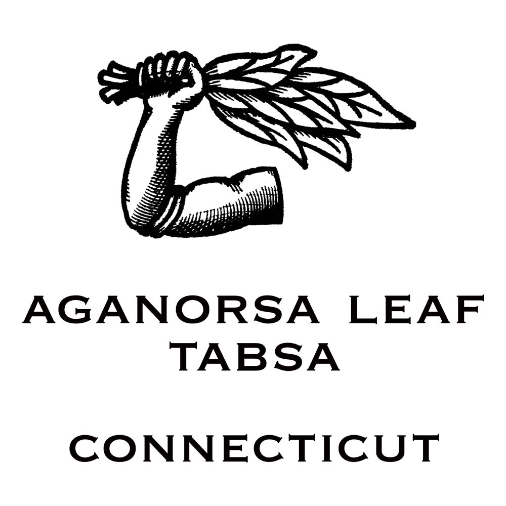Aganorsa Connecticut